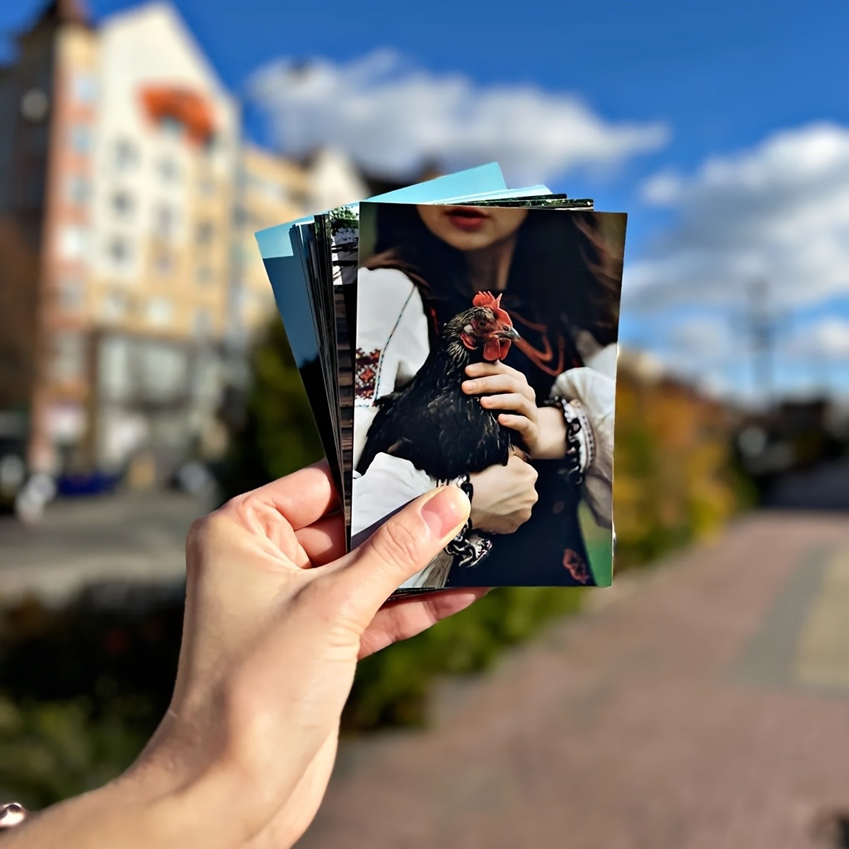 متوفر بكميات 1/3/6 قطع، طباعة  - مراجعة Photography Website وسعره
