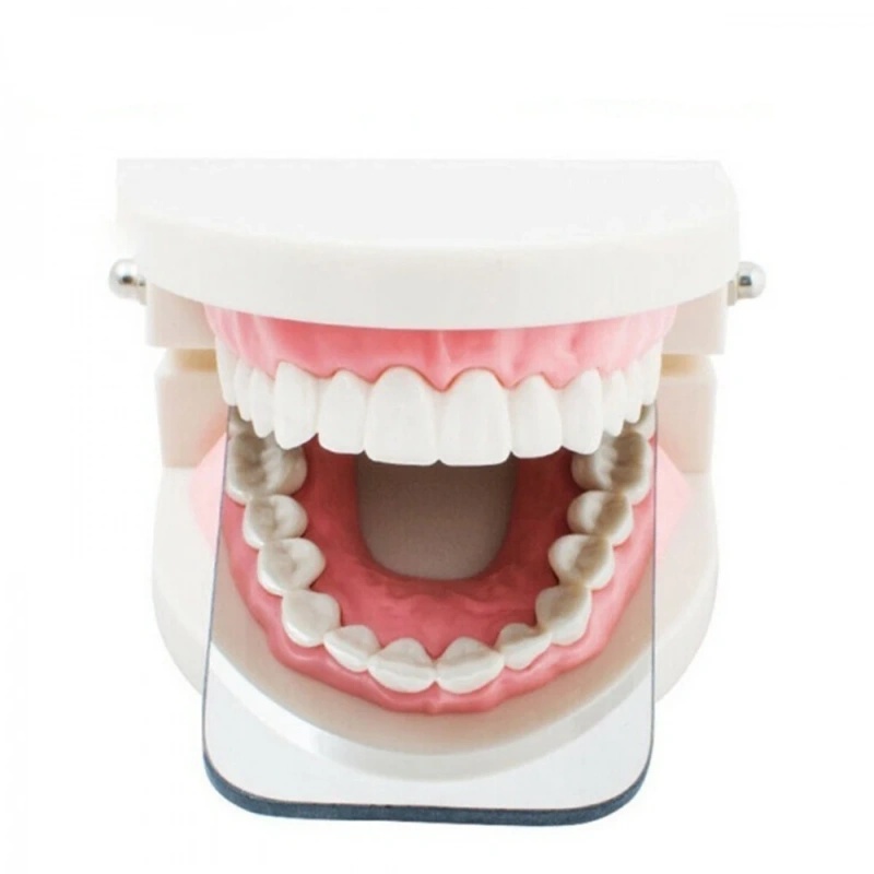مرايا أسنان زجاجية عاكسة مزدوج - مراجعة Photography Dental وسعره