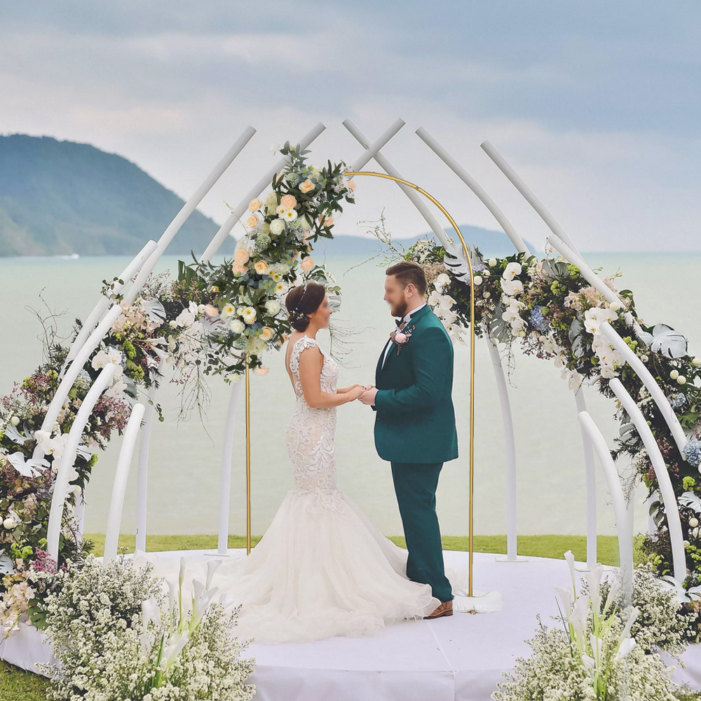 حامل خلفية معدني ذهبي بطول 7.2 - مراجعة Photography Website وسعره