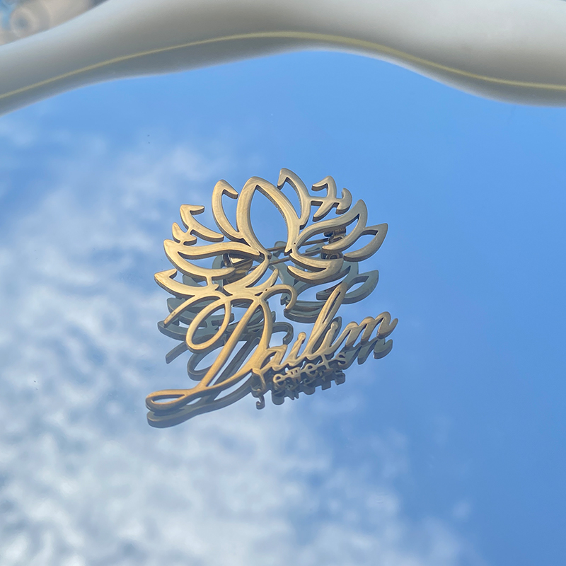 WLP الفولاذ المقاوم للصدأ شخصي - مراجعة Photography Logo وسعره